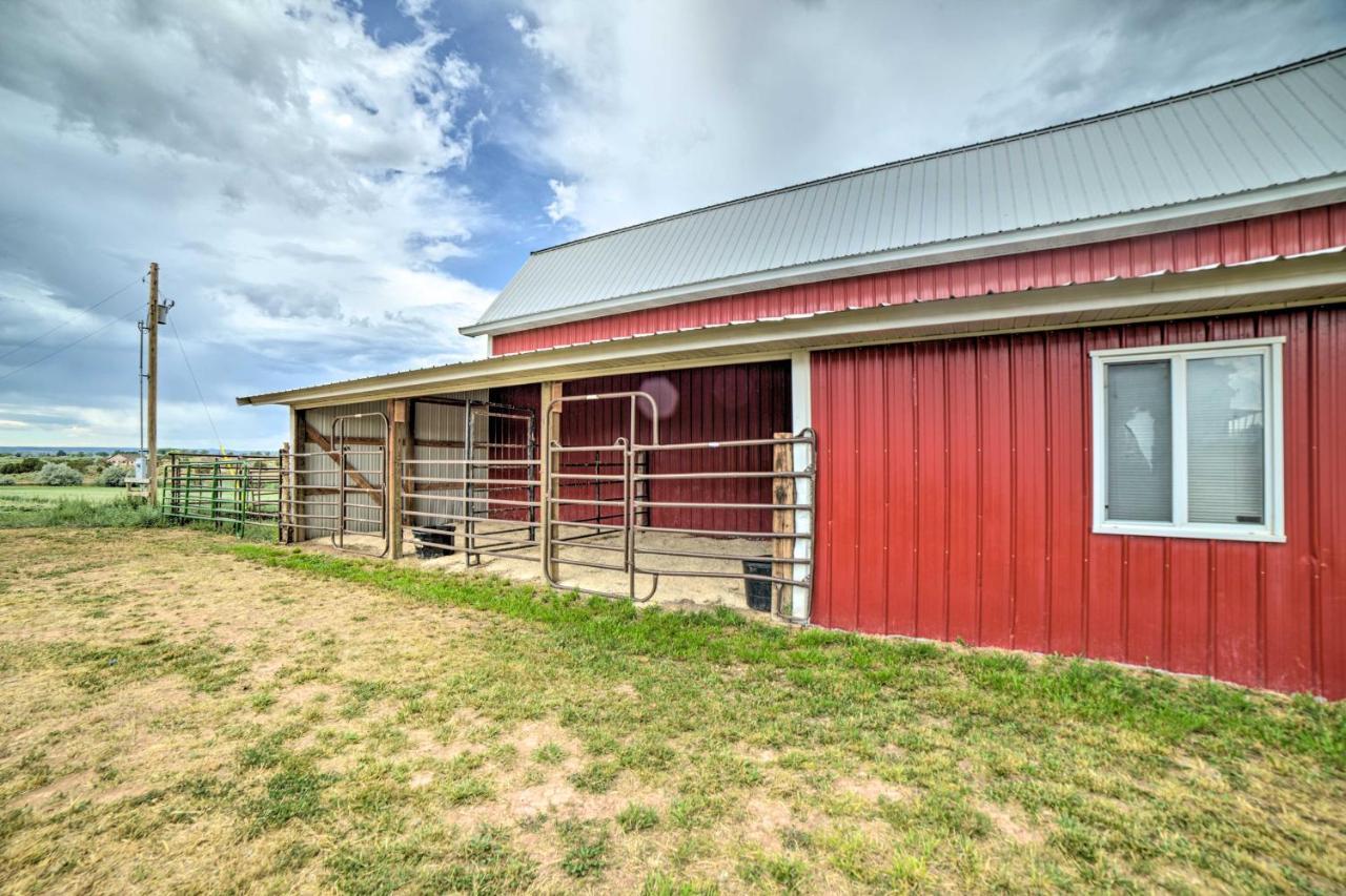 Walkout Apartment With Mtn View On Cortez Ranch Exterior foto